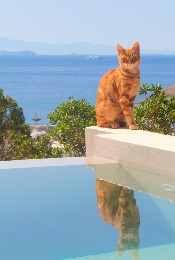 Villa With View Of Agios Ioannis And Pool With Jacuzzi Buitenkant foto